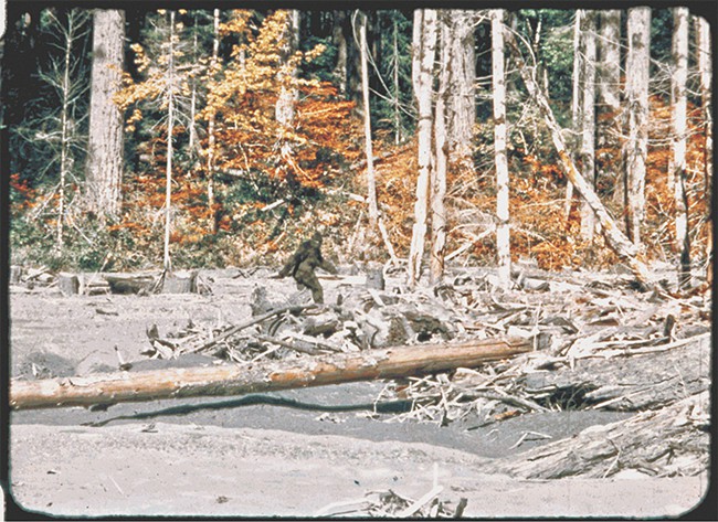 Bigfoot: Man or Myth?