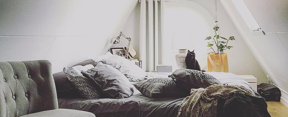 Links we love: Small yet mighty