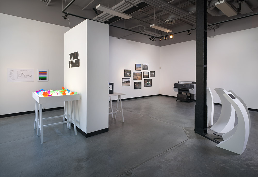 Project We Love: Wild Times by Susan Robb