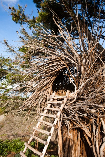 A nest for humans in Big Sur