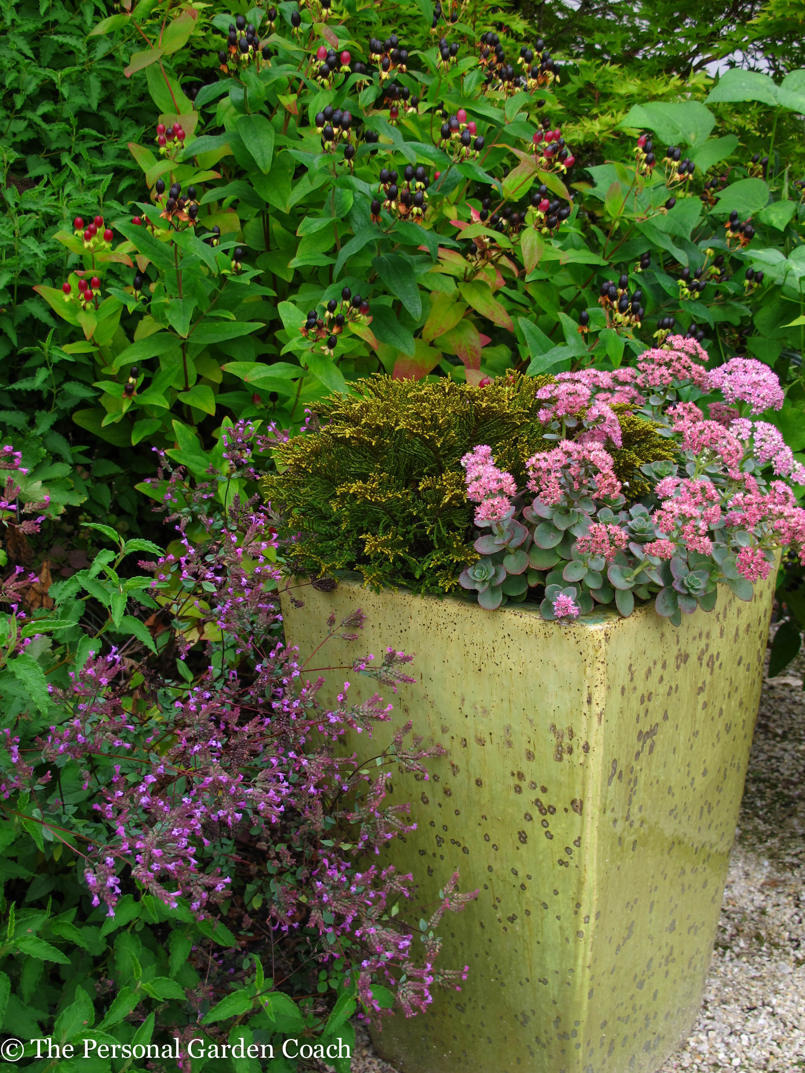 Planting Ideas: Rich and Composed Color