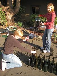 Bottling our Syrah: The wine is deep, dark, and mighty fine