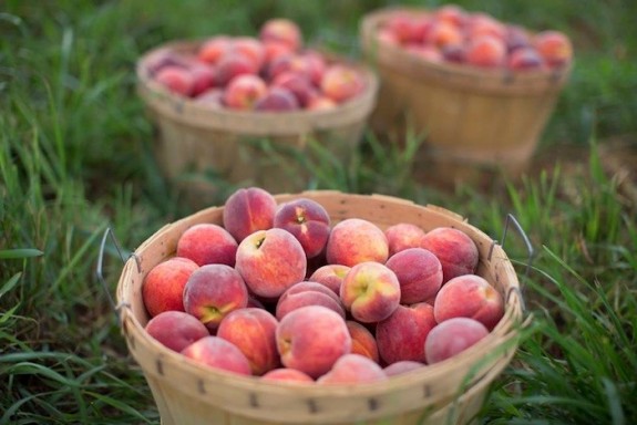 Stories We’re Loving This Week