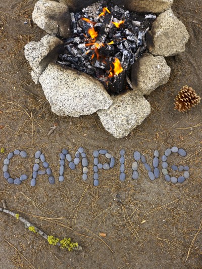 The Exotic Paradise of California