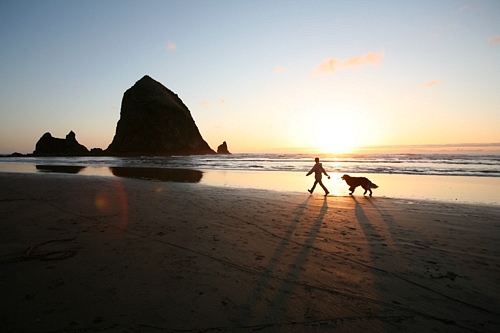 5 Unusual Food Stops for a Road Trip in Oregon