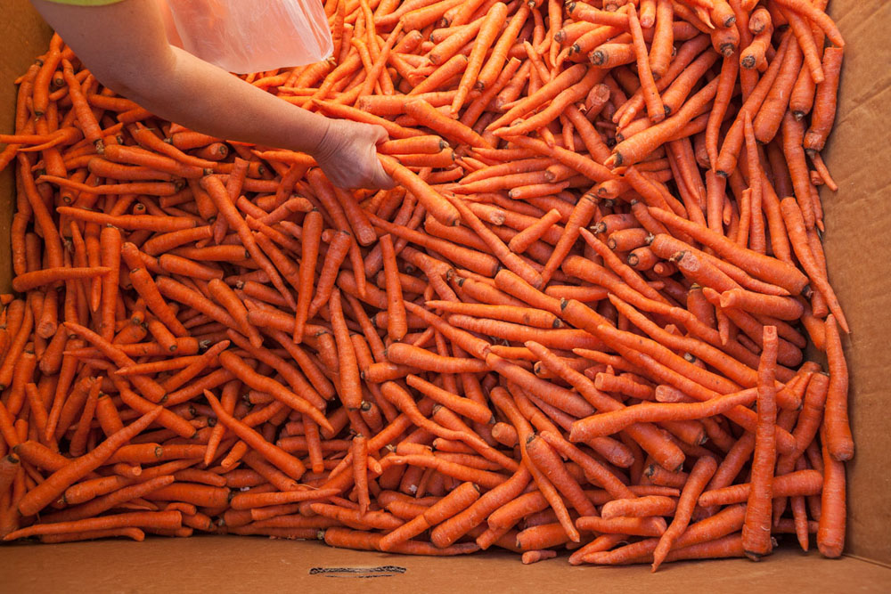 Oakland start-up sells ‘Imperfect’ produce to reduce waste