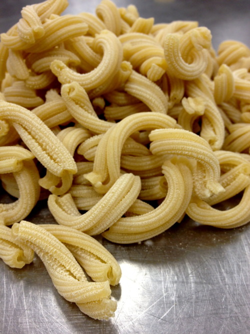 The artisanal pasta CSA