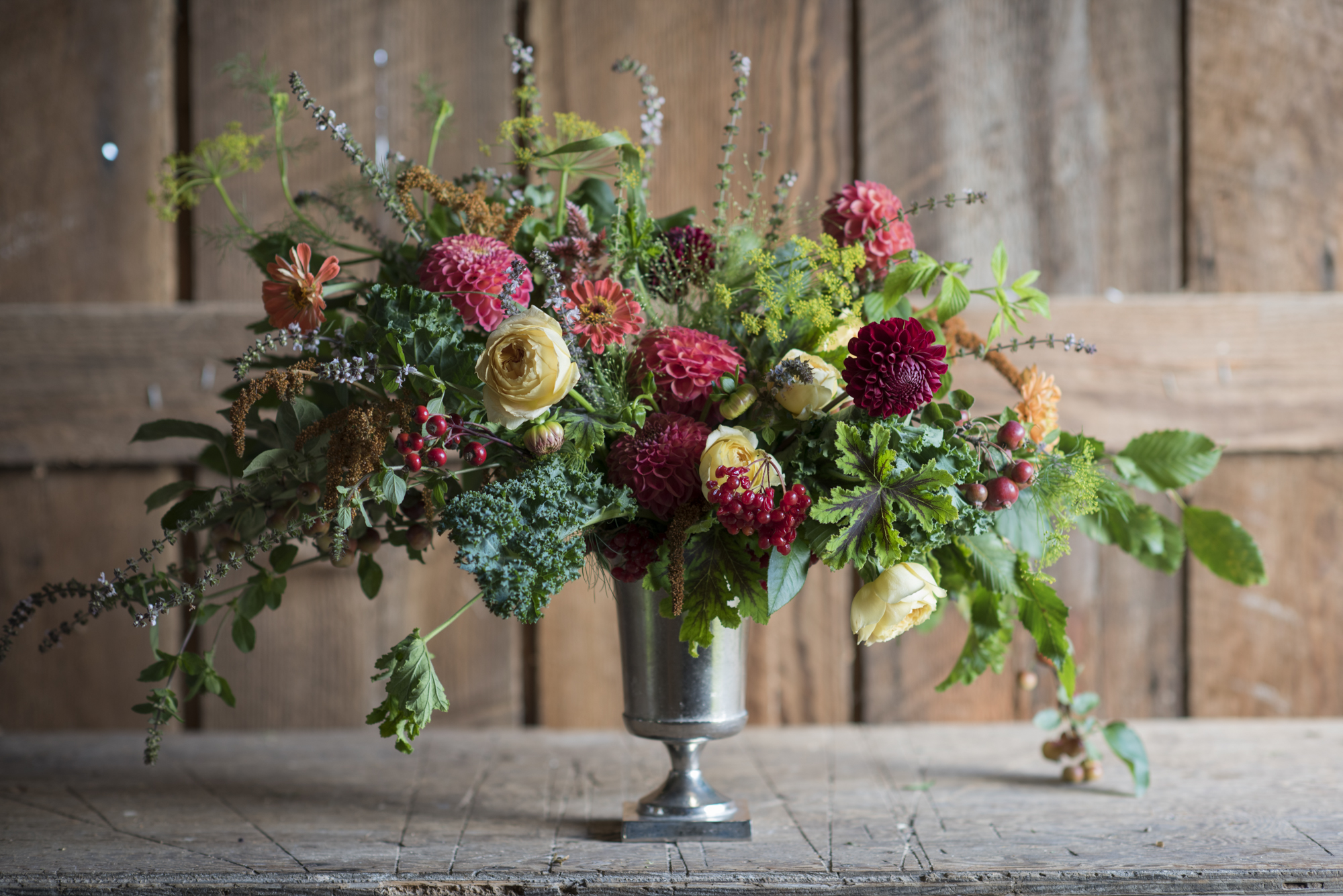 Local flowers in Homer, Alaska
