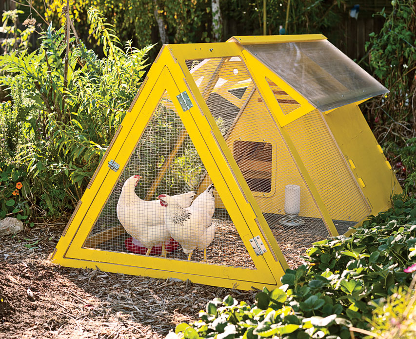 Yellow and Fabulous: The Mother of All Chicken Coops