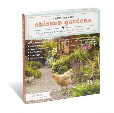 What Makes a Backyard Chicken-Friendly?