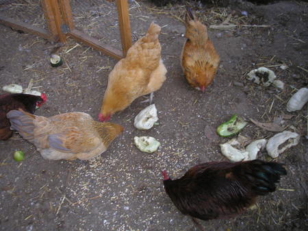 Goodbye, Summer Crops; Hello, Winter Feast