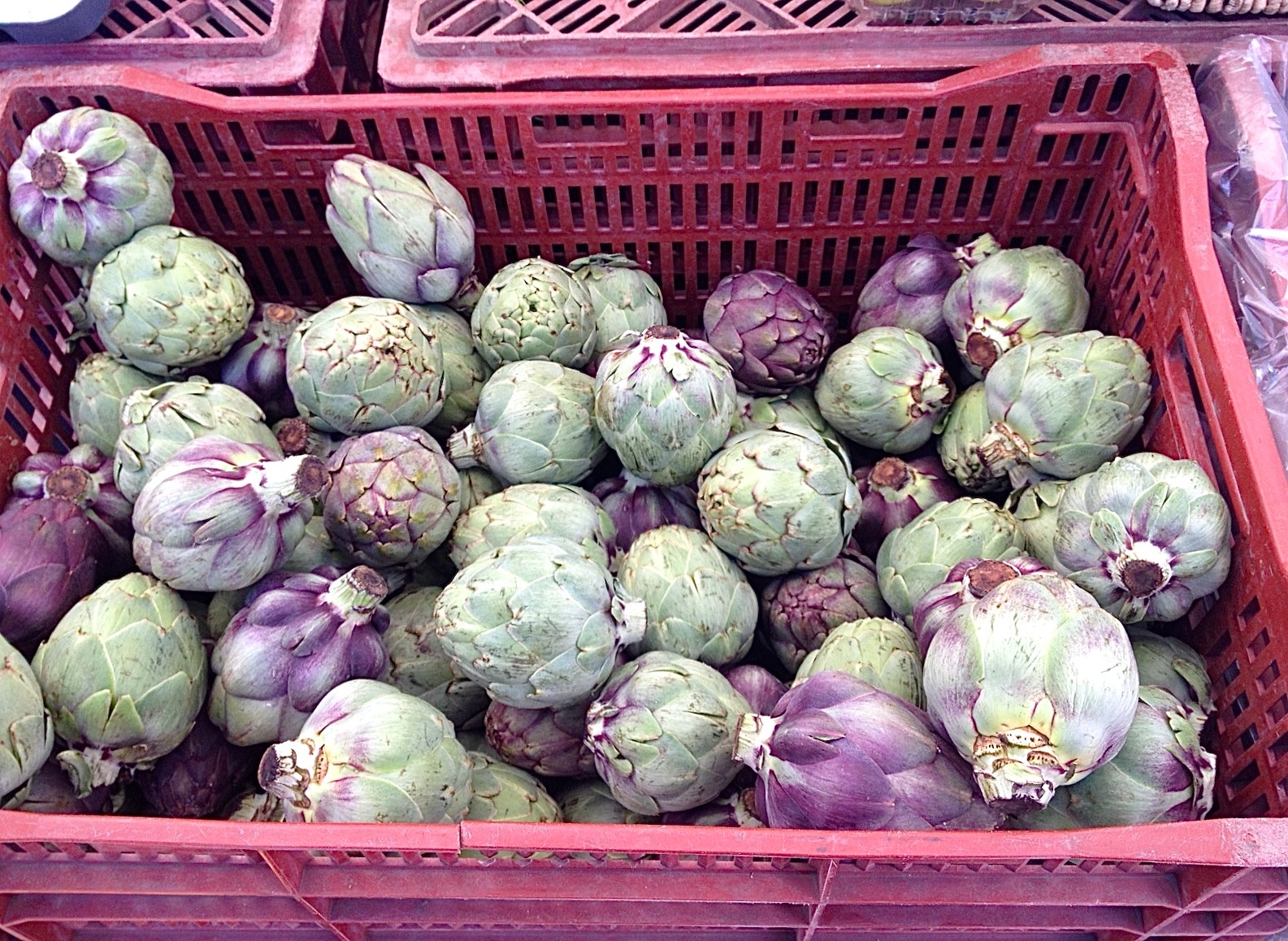 Farmers’ market find: purple artichokes