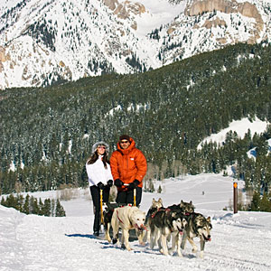 Jackson Hole Iditarod Sled Dog Tours
