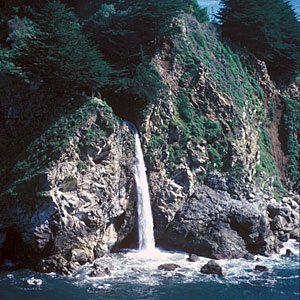 Julia Pfeiffer Burns State Park