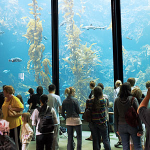 Monterey Bay Aquarium