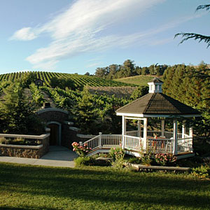 Truchard Vineyards