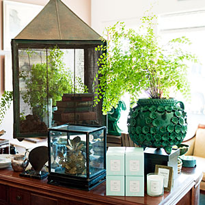 Macalistaire Vintage