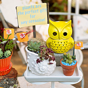 Organic Designs by Aggelige