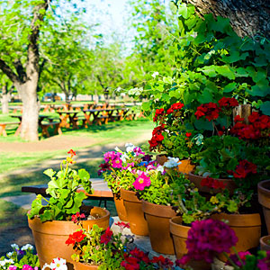 The Farm at South Mountain