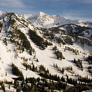 Snowbird Ski & Summer Resort