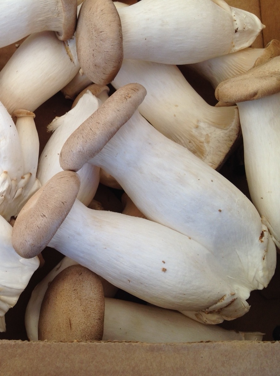 Farmers’ market find: King Trumpets