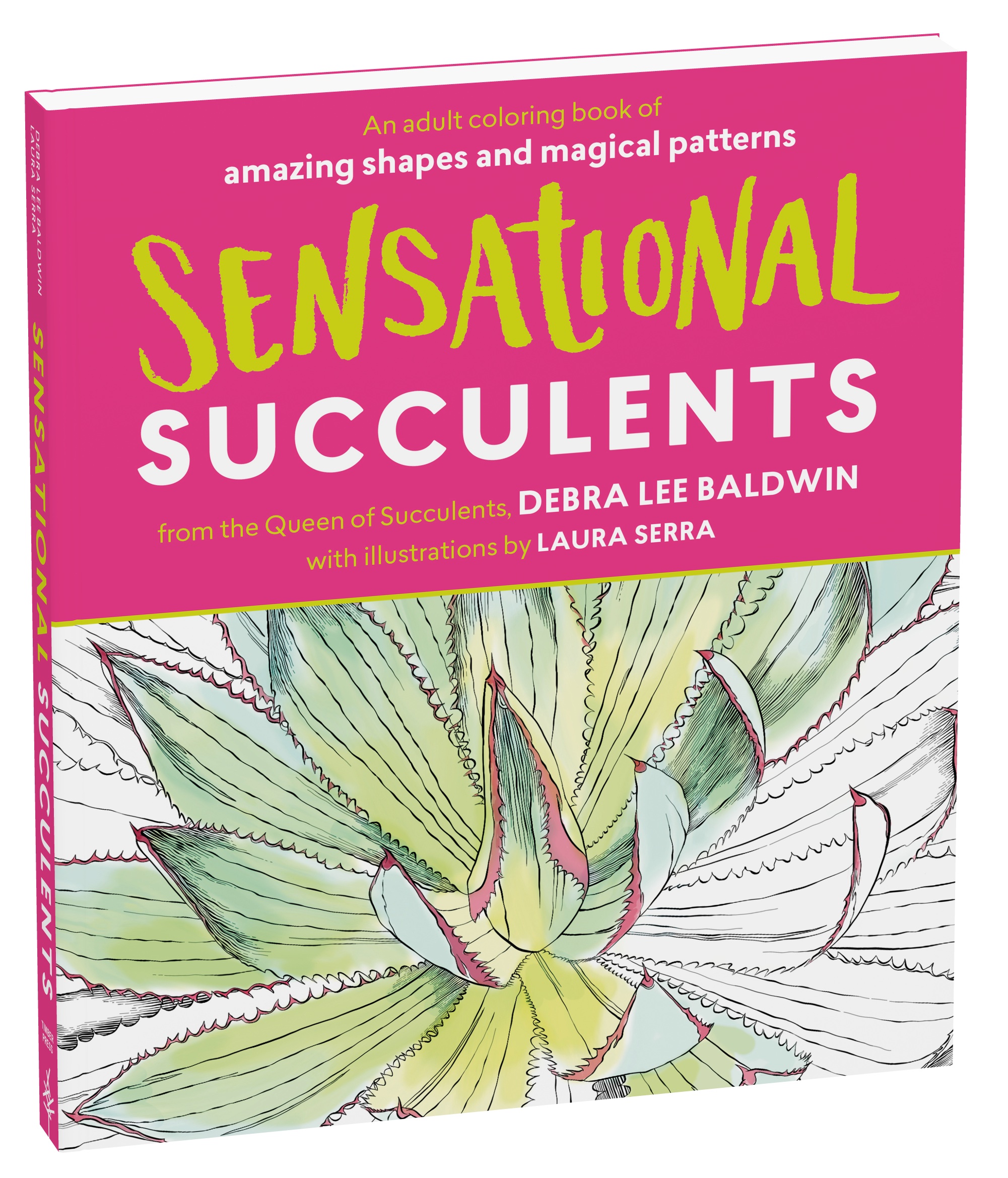 Giveaway: Sensational Succulents coloring book