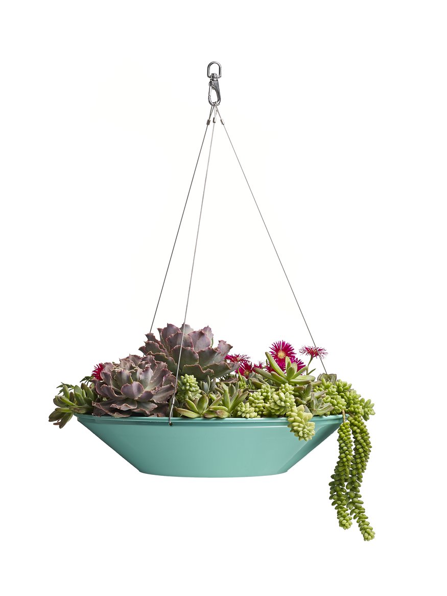 Plant a modern hanging basket