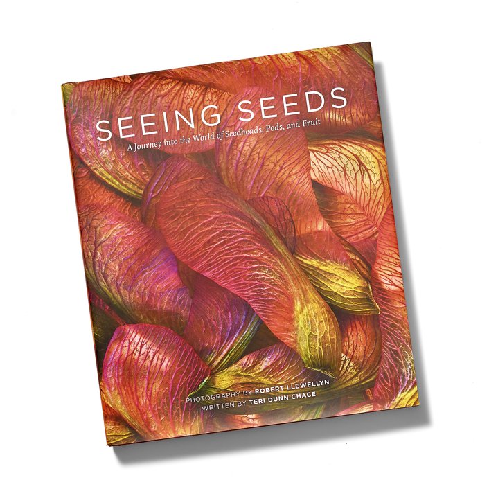 Giveaway: gallery print from Seeing Seeds