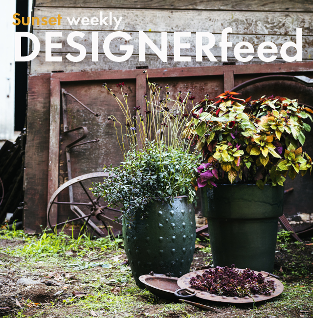 Designer feed: simple fall decor and organized kitchens
