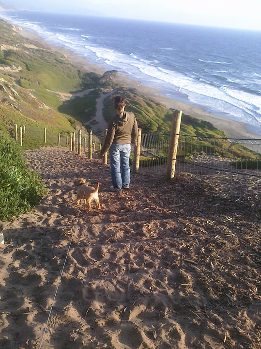 The number one park for dogs (and people)