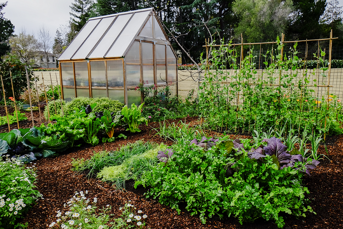 3 ways to grow cool-season veggies
