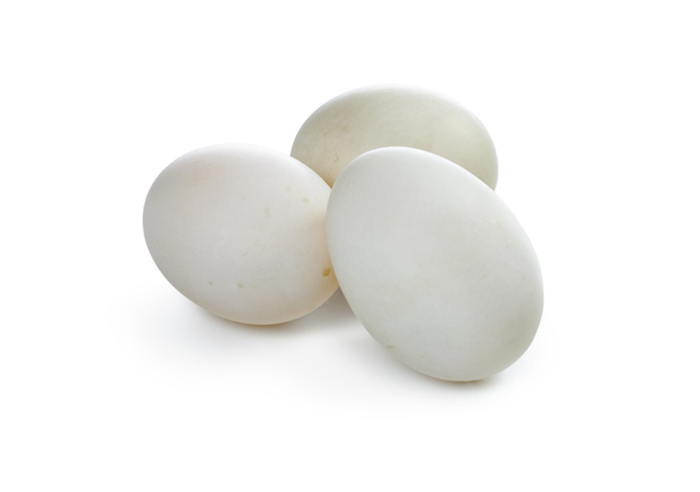 Two quick tips for cooking with duck eggs