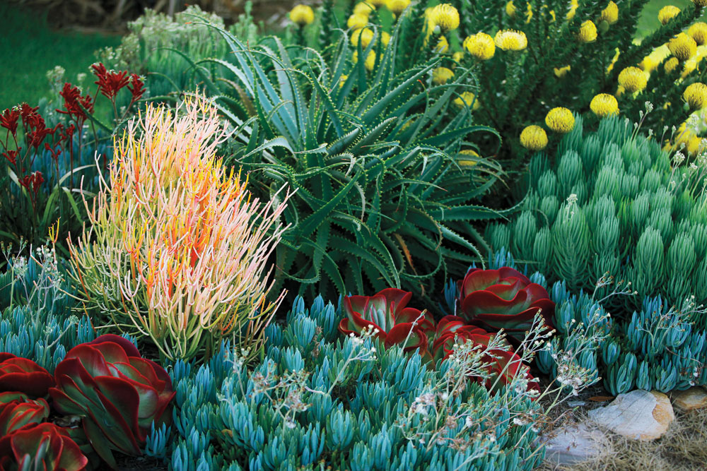 Last Chance to Win a Low-Water Landscape!