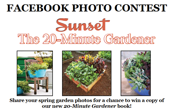 Facebook Contest: Show Off Your Spring Garden
