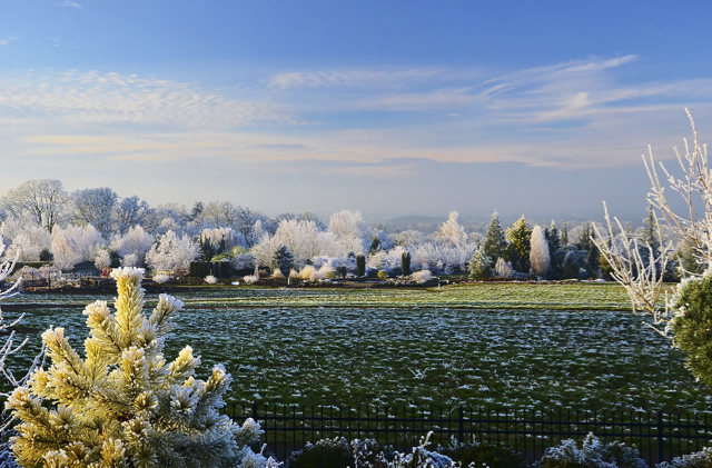 Where to go this weekend: Silverton, OR