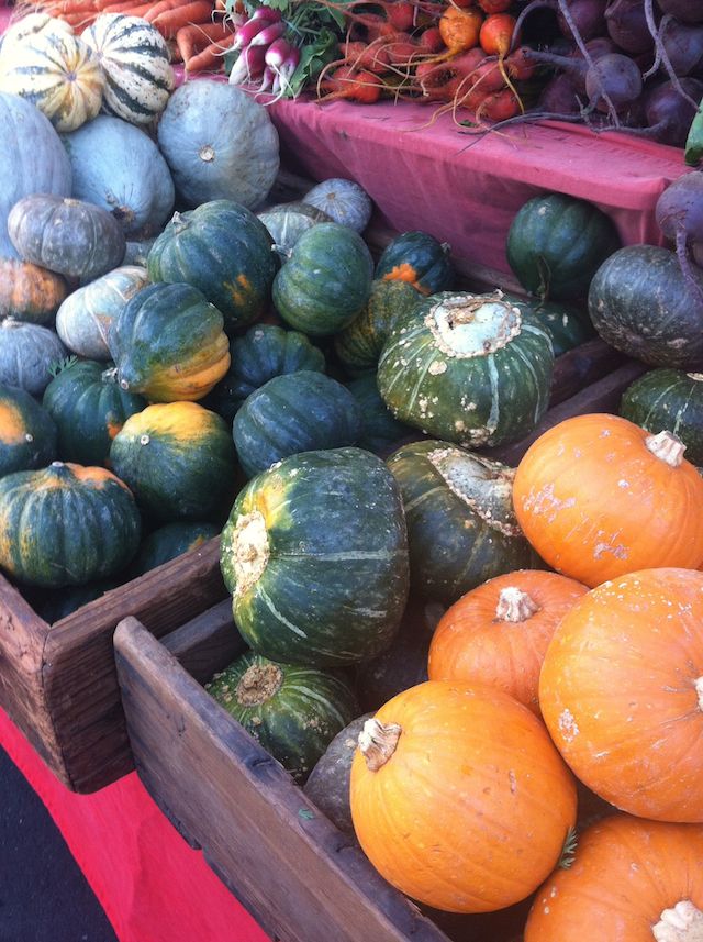 Farmers Market Friday: Winter Squash Guide