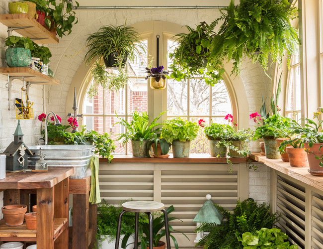 5 Ways to Bring Your Garden Indoors for Fall