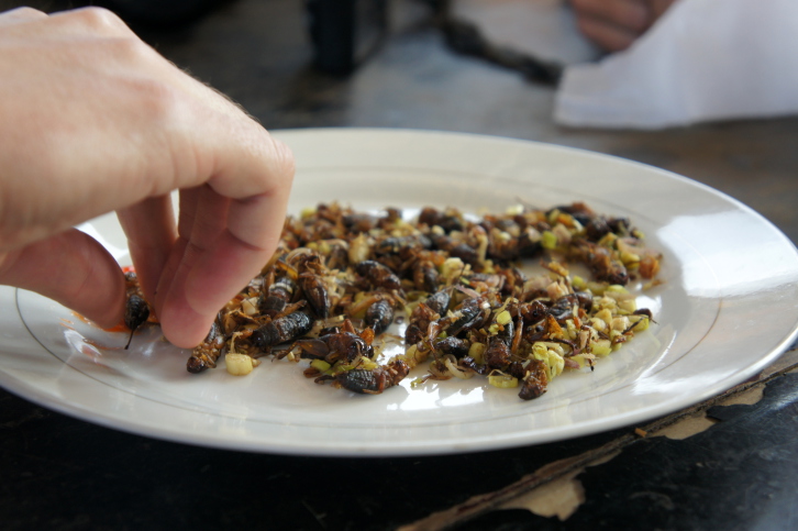 What to Eat This Week: Crickets … in Portland, of Course