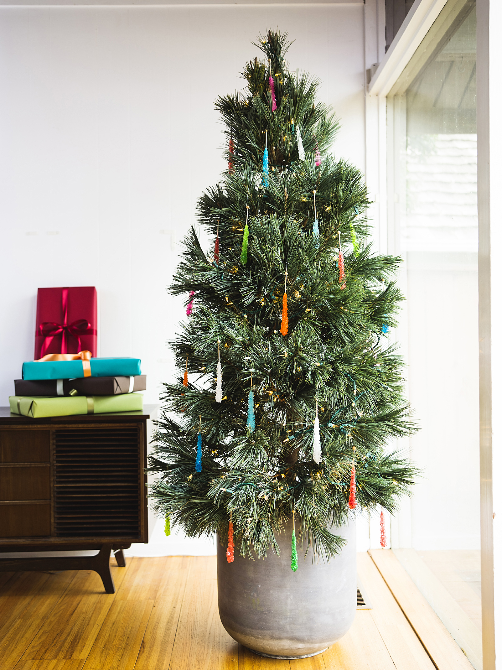 How to Care for a Living Christmas Tree