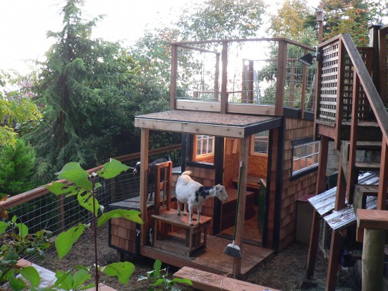 The New Doghouse is a Goat Palace