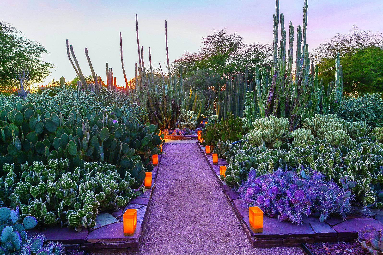 15 Essential Western Experiences for Garden-Lovers