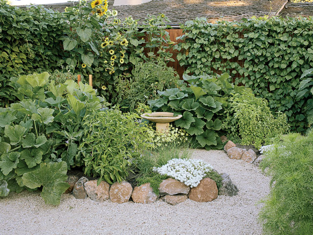 Easy DIY: Turn a Fence Into a Trellis