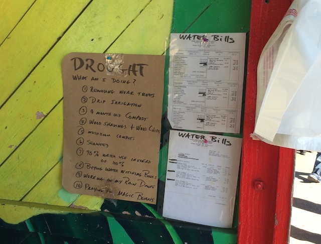 7 Ways to Save Water While Cooking