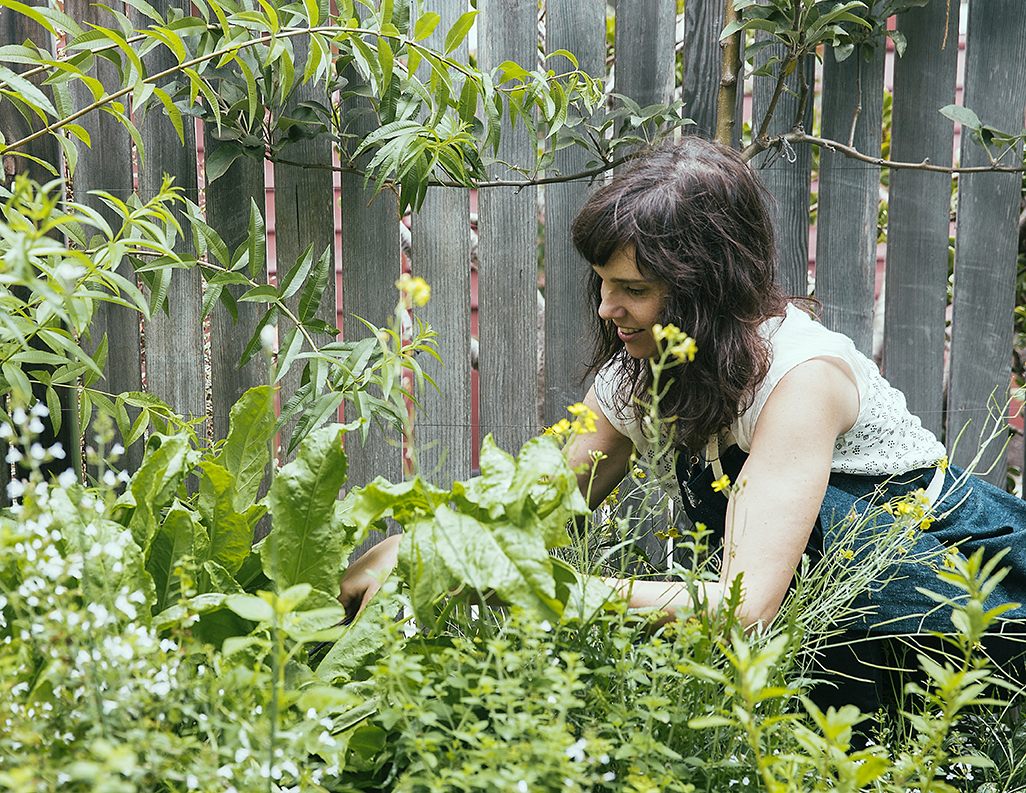5 ways to maintain a veggie garden in dry times