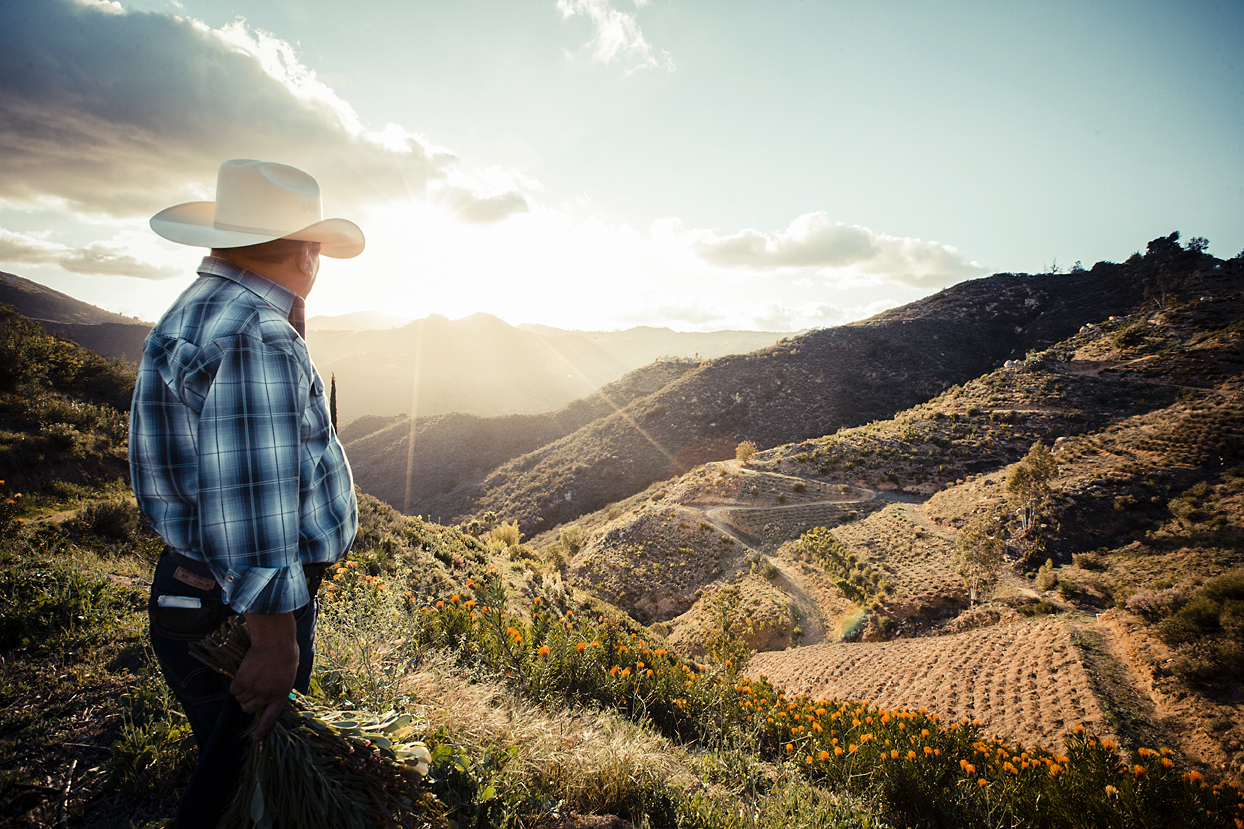 Behind the Scenes From Our December Protea Story (+ A GIVEAWAY!)
