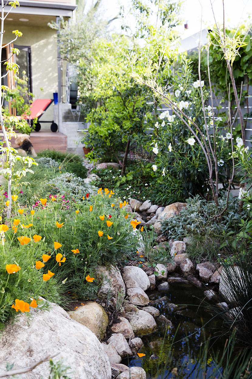 Gray Water: From Laundry to Landscape