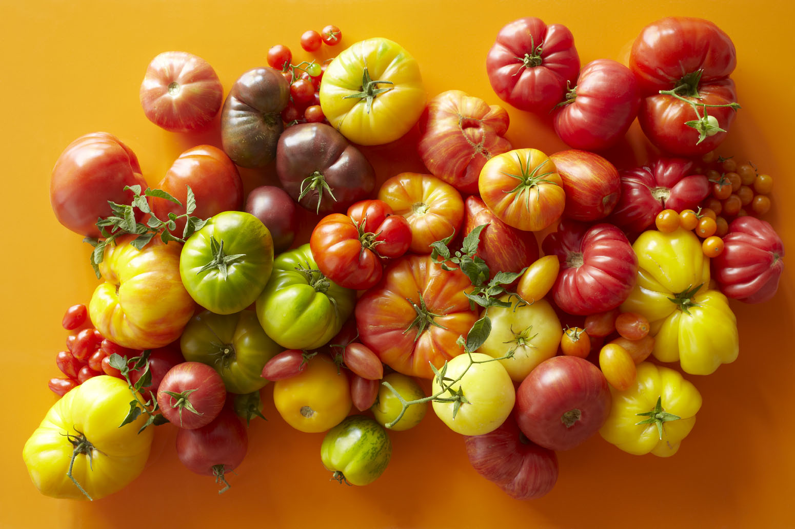 Weekend DIY: Try a New Trellis