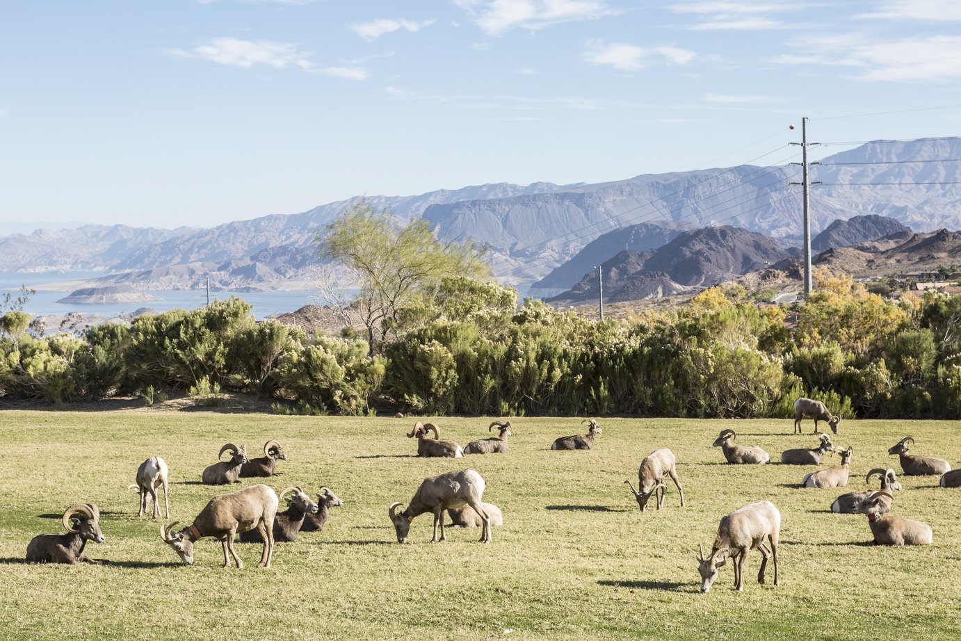 Where To Go This Weekend: Boulder City, NV