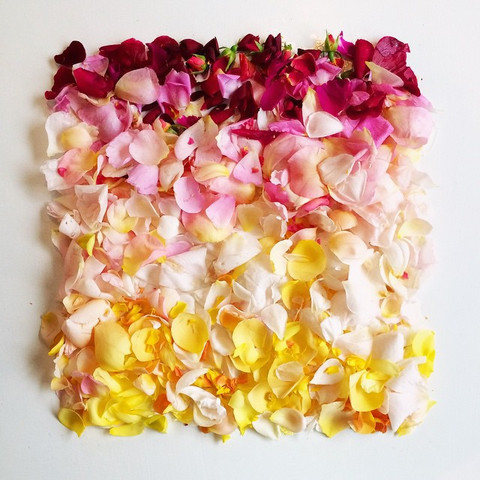 Last-minute gifts for your plant-loving mom