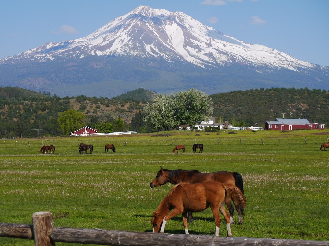 Weekend Nature Retreat: Mount Shasta
